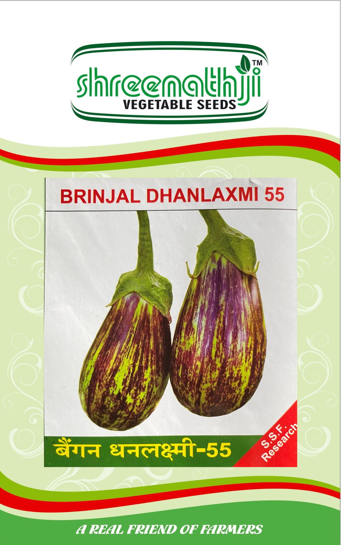 રીંગણ ધનલક્ષ્મી 55